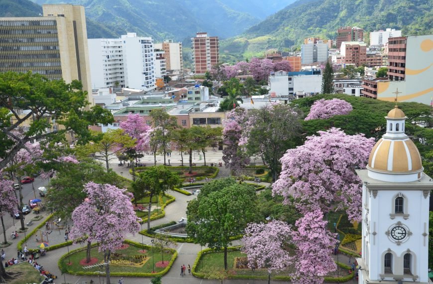 Inicio ocobos (12)